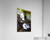 Ricketts Glen 5 Acrylic Print