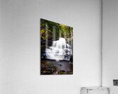 Ricketts Glen 1 Acrylic Print