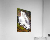 Ricketts Glen 9 Acrylic Print