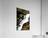 Ricketts Glen 3 Acrylic Print