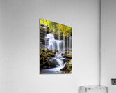 Ricketts Glen 6 Acrylic Print