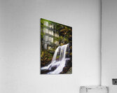 Ricketts Glen 8 Acrylic Print