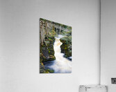 Rapids Acrylic Print