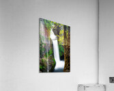 Toketee Falls Oregon Acrylic Print