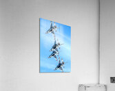 Four Vertical Acrylic Print
