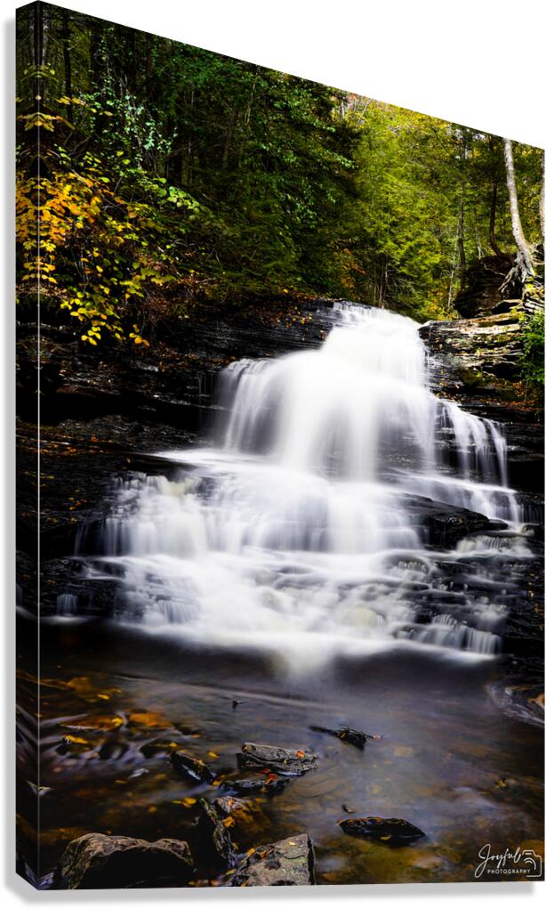 Ricketts Glen 1 Canvas Print
