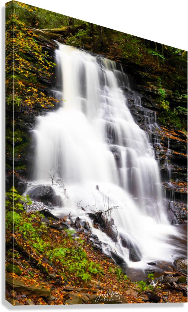 Ricketts Glen 9 Canvas Print