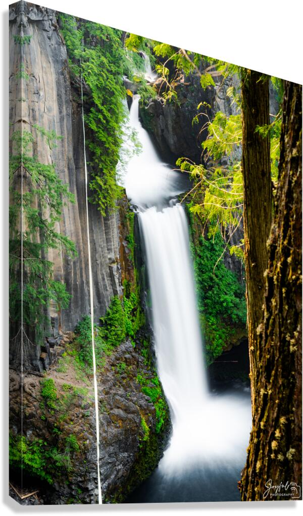 Toketee Falls Oregon Canvas Print
