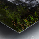 Ricketts Glen Ganoga Metal print