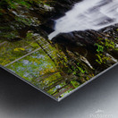 Ricketts Glen 5 Metal print