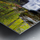 Ricketts Glen 6 Metal print