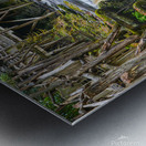 Rapids Metal print