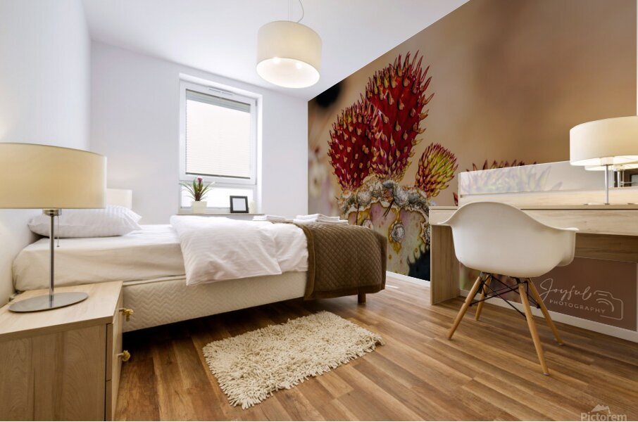 Red Prickly Pear Mural print