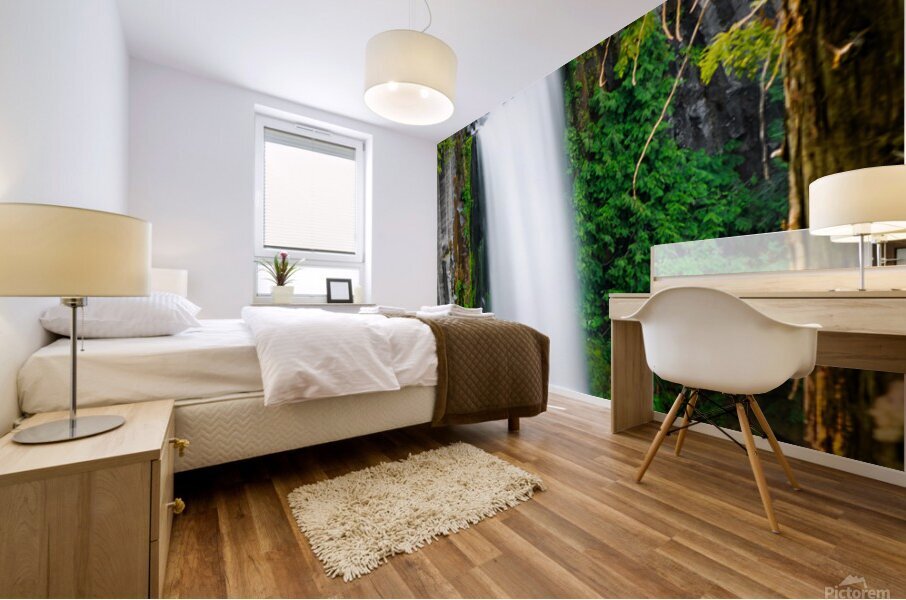 Toketee Falls 2x5 Mural print