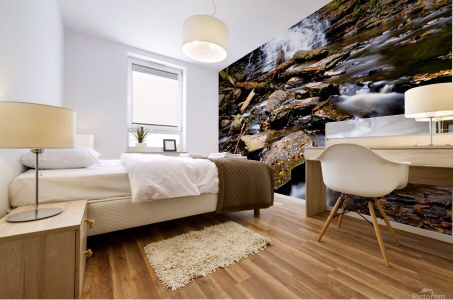 Ricketts Glen 2 Mural print