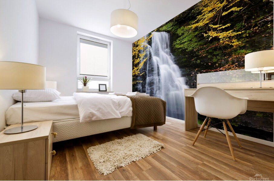 Small Falls Mural print