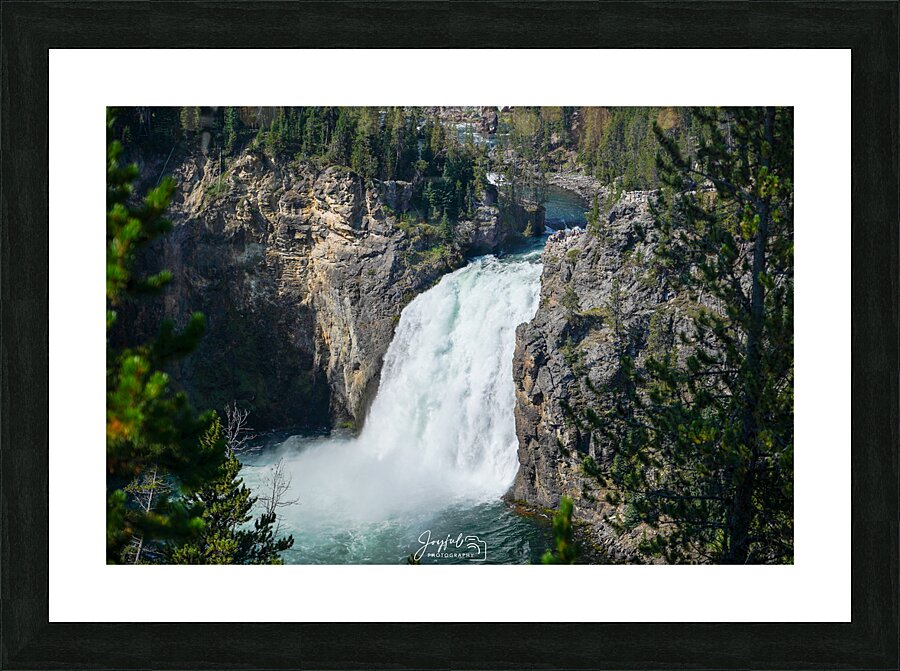 Yellowstone Upper Falls Picture Frame print