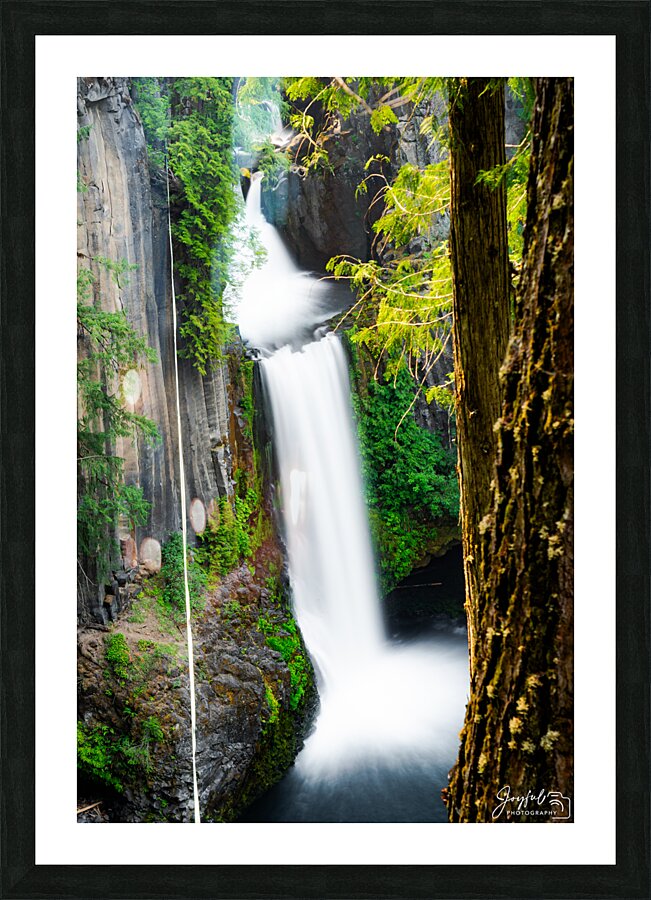 Toketee Falls Picture Frame print