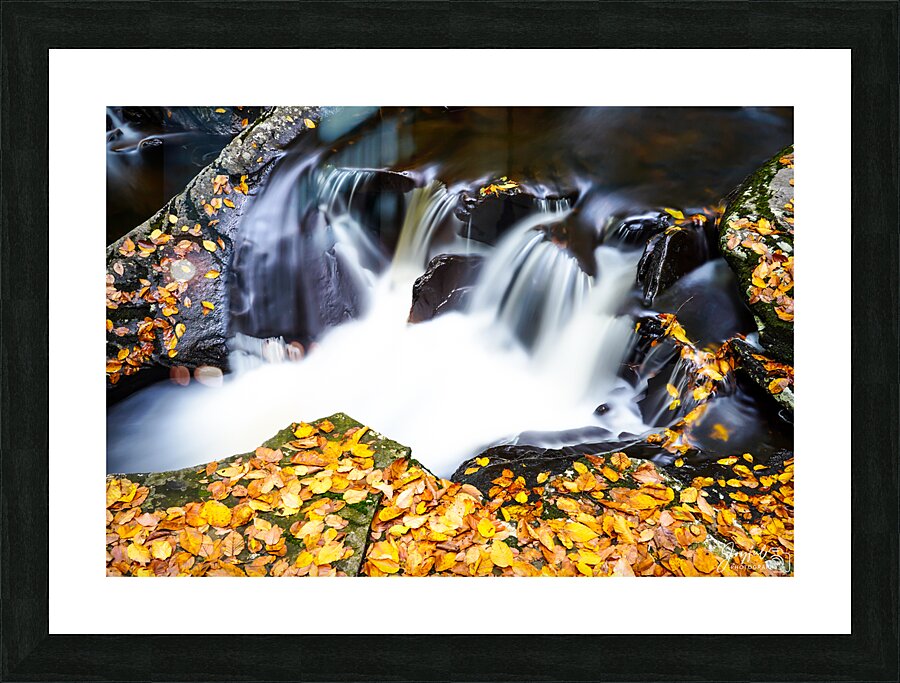 Ricketts Glen 4 Picture Frame print