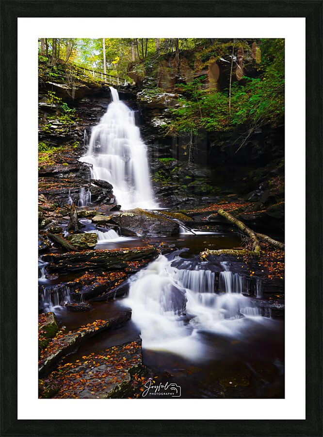 Ricketts Glen 5 Picture Frame print