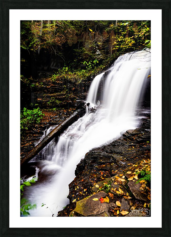 Ricketts Glen 3 Picture Frame print