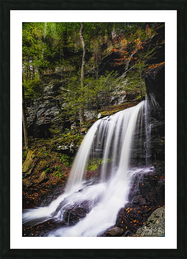 Ricketts Glen 8 Picture Frame print