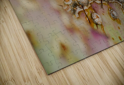 Red Prickly Pear Joyful Photography puzzle