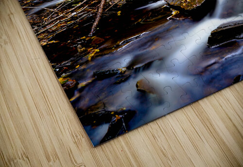 Ricketts Glen 2 Joyful Photography puzzle