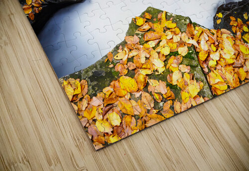 Ricketts Glen 4 Joyful Photography puzzle