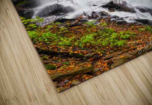 Ricketts Glen 9 Joyful Photography puzzle