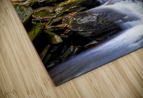 Ricketts Glen 6 Joyful Photography puzzle