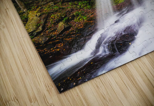 Ricketts Glen 8 Joyful Photography puzzle