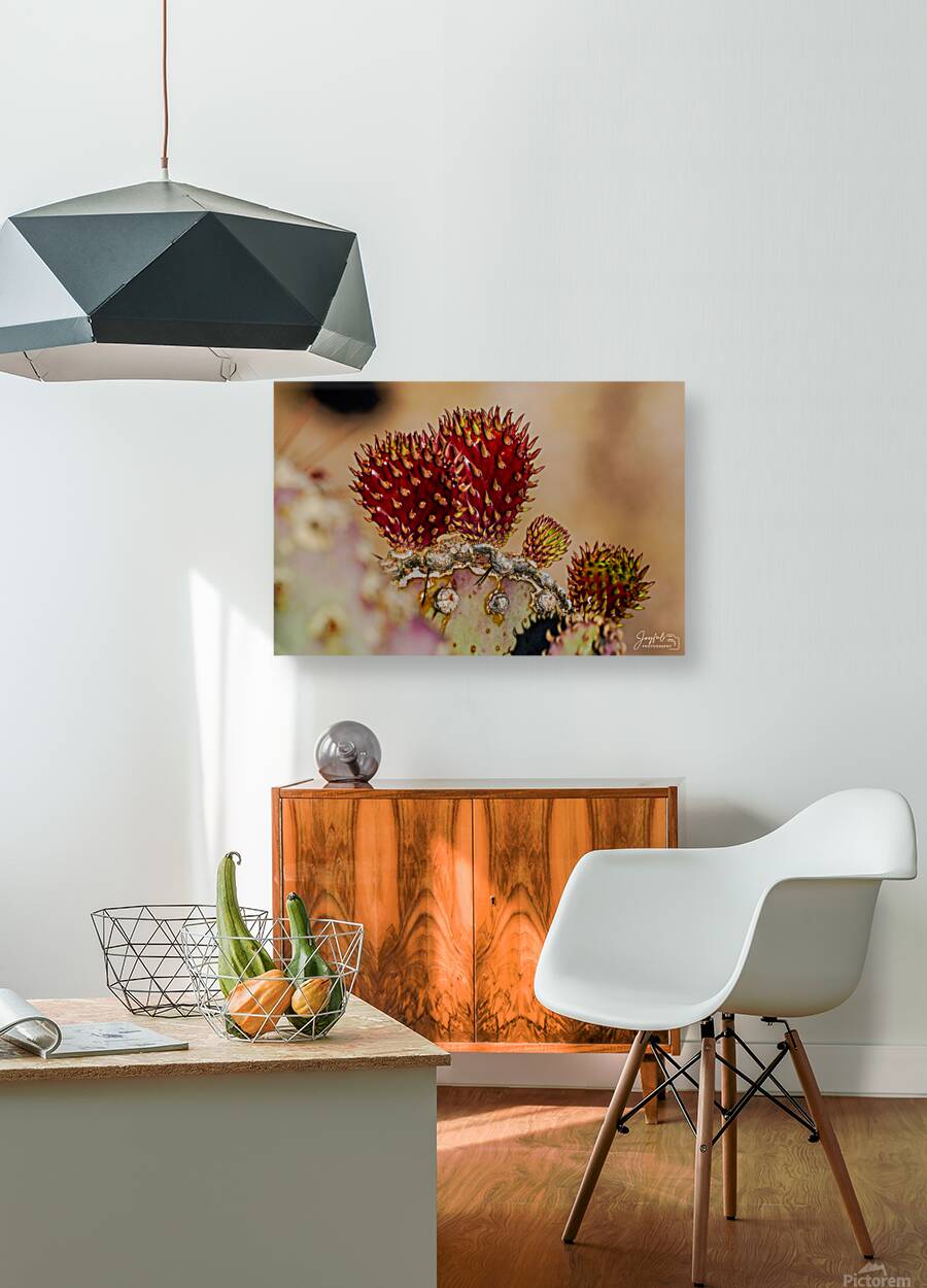 Red Prickly Pear Reproduction