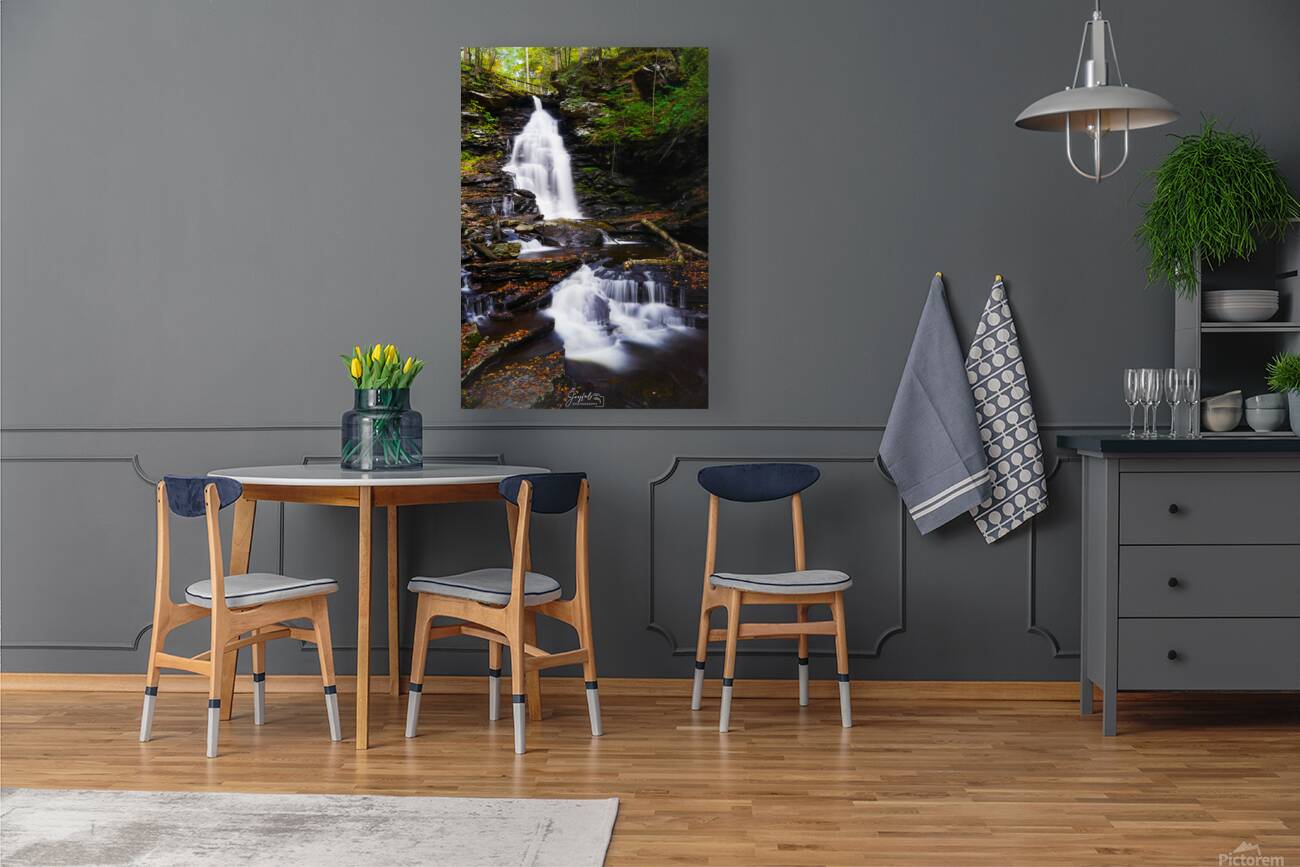 Ricketts Glen 5 Reproduction