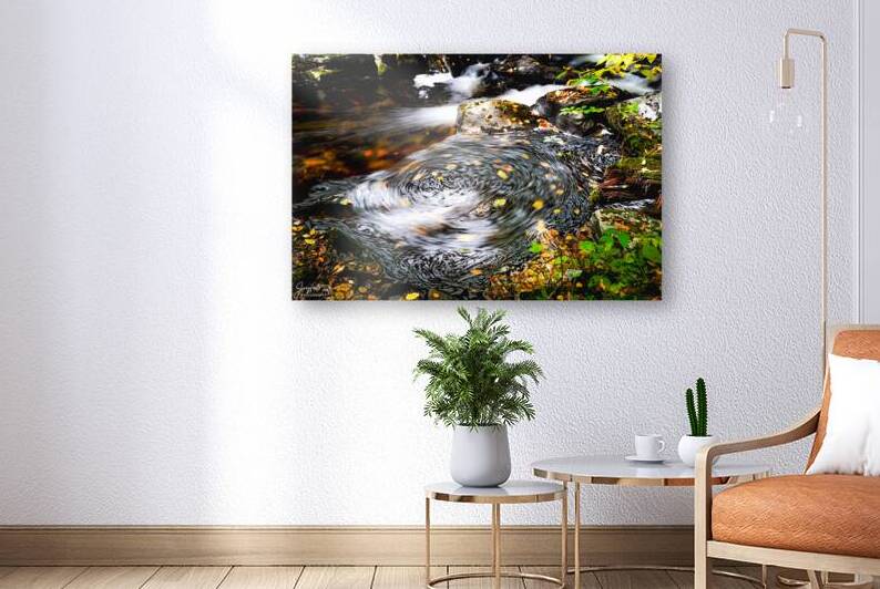 Ricketts Glen Whirlpool by Joyful Photography