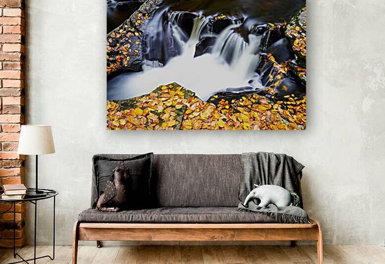 Ricketts Glen Little Falls by Joyful Photography