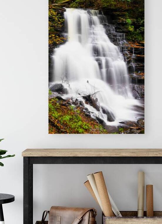 Ricketts Glen 9 Tight by Joyful Photography