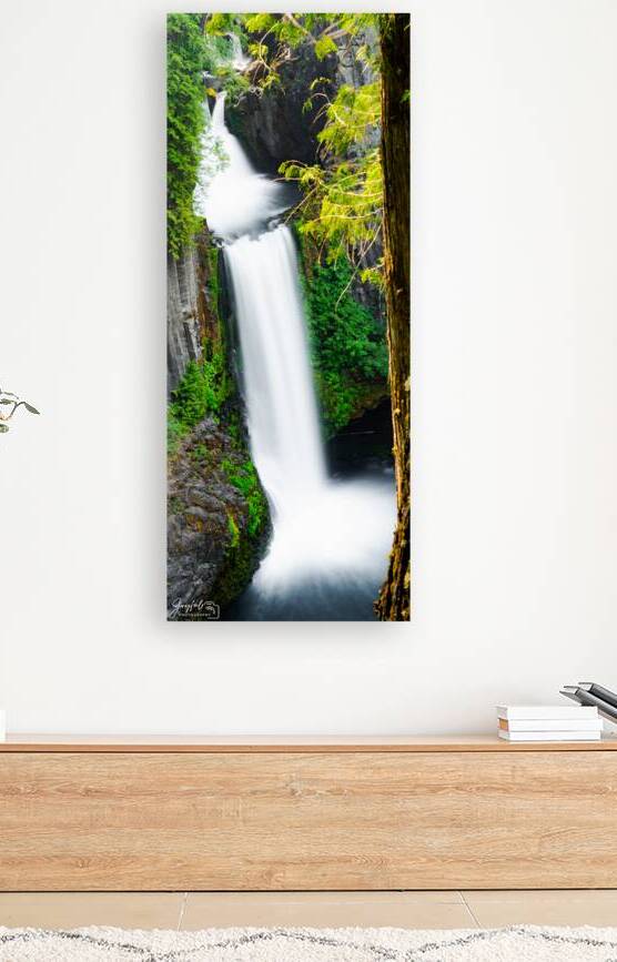 Toketee Falls 2x5 by Joyful Photography