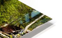 Ricketts Glen 1 HD Metal print