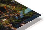 Ricketts Glen 8 HD Metal print