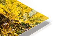 Small Falls HD Metal print