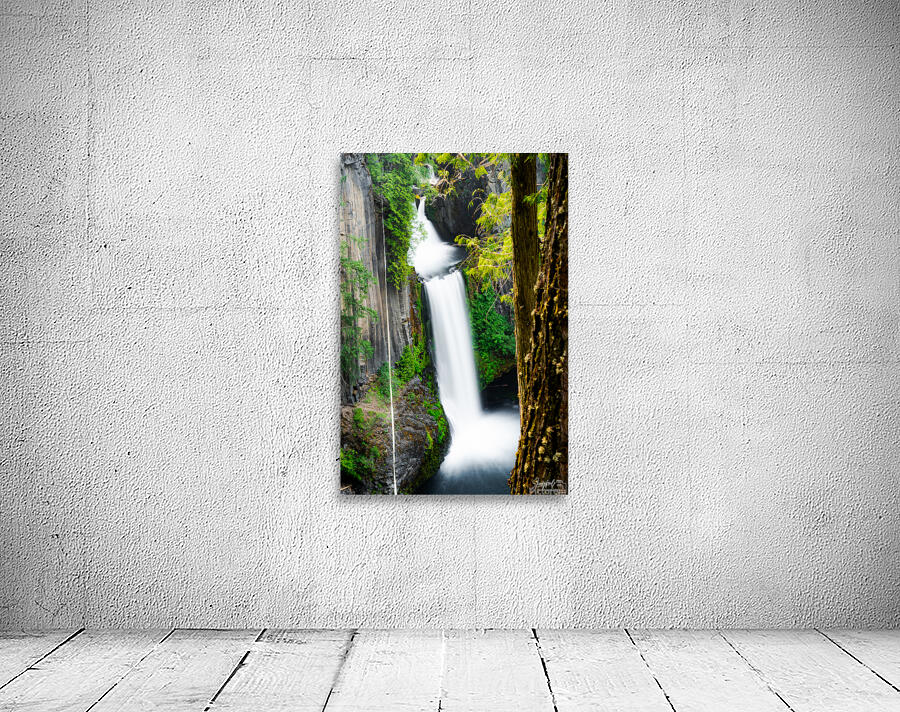 Toketee Falls Wall Preview