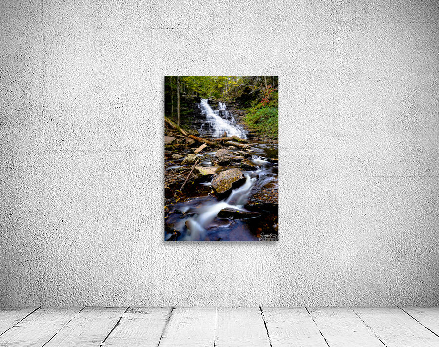 Ricketts Glen 2 Wall Preview