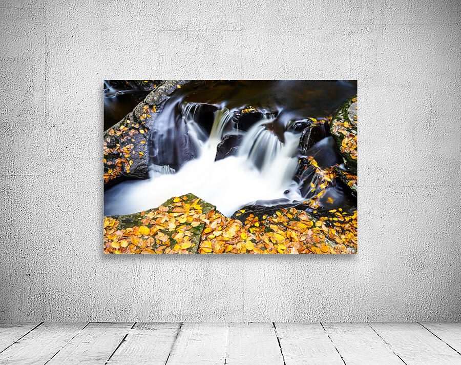 Ricketts Glen 4 Wall Preview