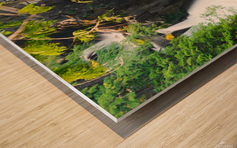 Toketee Falls 2x5 Wood print