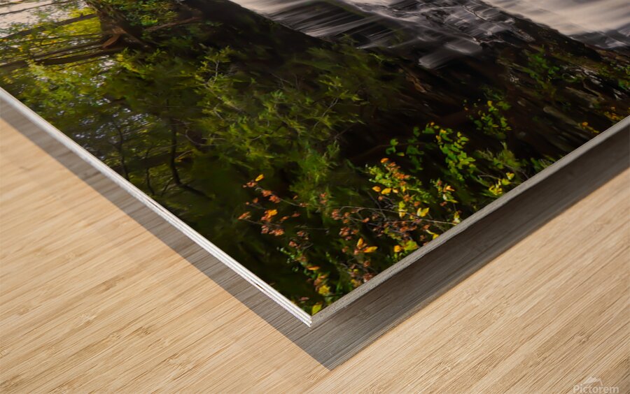 Ricketts Glen Ganoga Wood print