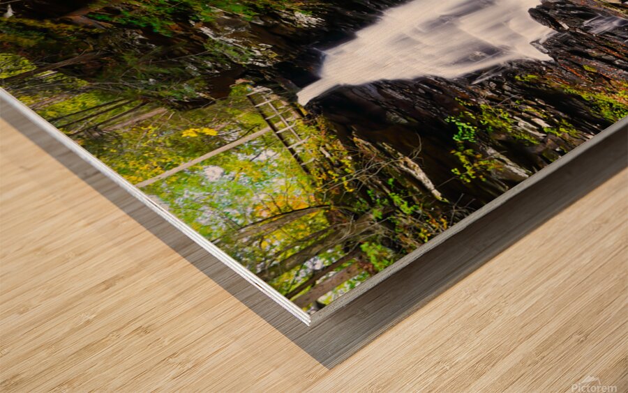 Ricketts Glen 5 Wood print