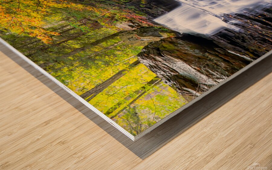 Ricketts Glen 6 Wood print