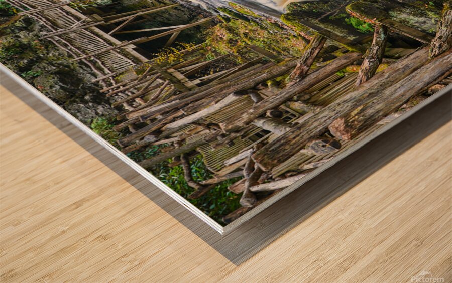 Rapids Wood print