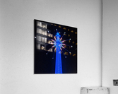 Flying High Acrylic Print